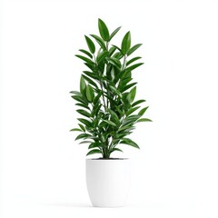 Fototapeta premium Decorative office plants for a clean workspace indoor space realistic composition bright environment aesthetic appeal