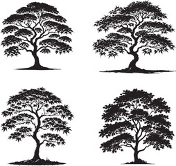 "High-Quality Monochrome Vector Silhouettes of the Japanese Maple Tree Isolated on a White Background"