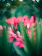 Abstract nature background
