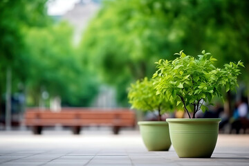Fototapeta premium A quiet green city square with trees, benches, and a flowerpot in the foreground.