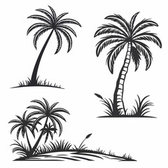 Obraz premium set of palm trees | set of palms trees on the beach