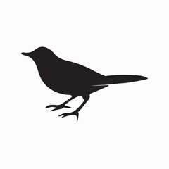 Obraz premium Elegant Bird Silhouette in Mid-Air