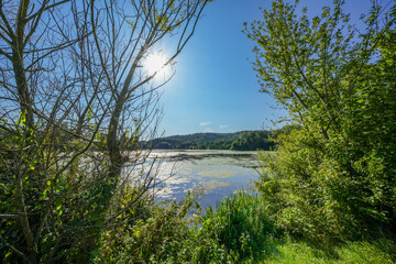 View of the reservoir near Keddinghausen and the surrounding nature. Landscape by the lake near...