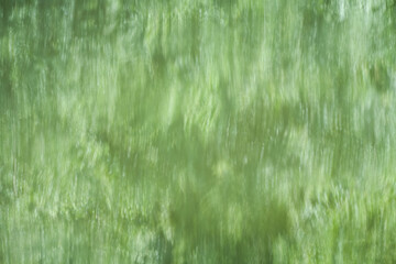 Reflections in the water of a pond in green tones. Natural background in pastel green.
