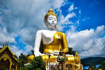 Fototapeta premium Viewing the statues in their diverse forms invites reflection on Buddhist teachings and values.