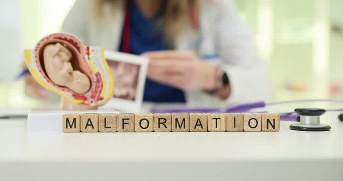 A thorough and focused examination of malformations using advanced medical tools alongside a detailed fetus model