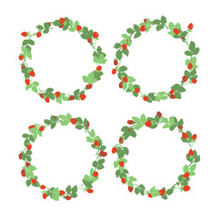 イチゴのフレーム素材