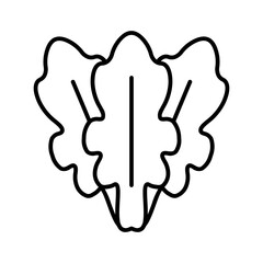 lettuce line icon