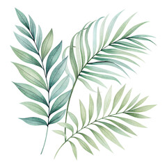 A collection of three green palm leaves showcasing various shapes and textures.