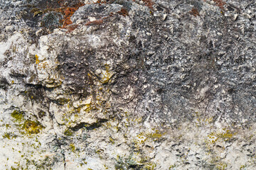 moss and lichen on basalt rock