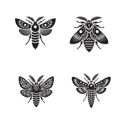 High-Quality Monochrome Vector Silhouettes of the Pineapple Moth Isolated on a White Background