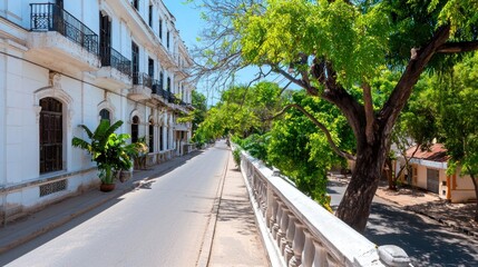 Sunny Street in Tropical Town