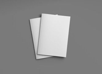 Two magazine covers Mockup on grey background with soft shadows. 3D rendering