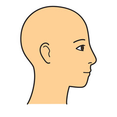 顔　横顔　右向き　カラー
