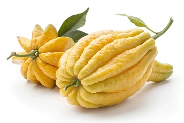 physalis fruit isolated on white