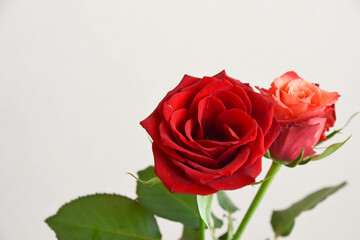赤い薔薇