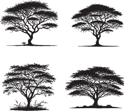High-Quality Monochrome Vector Silhouettes of the Quebracho Tree Isolated on a White Background"