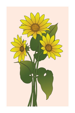 Vibrant Arrowleaf Balsamroot Flower Print, Colorful Floral Art with Green Leaves, Trendy Floral Posters, Hand drawn Botanical Illustration for Decor