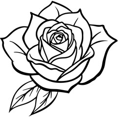 A Rose