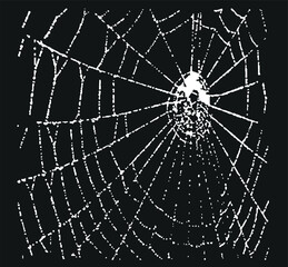 Spiderweb graphic element. Round net black silhouette isolated on white background