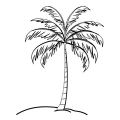 Obraz premium Coconut tree