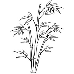 Bamboo tree