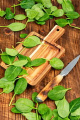 A bunch of spinach leaves.