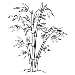 Bamboo tree