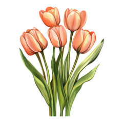 Fototapeta premium Beautiful tulips in soft peach color with green leaves
