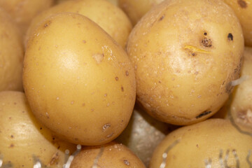 Close up of boiled salad baby potatoes cooked