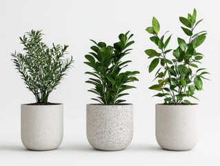 Fototapeta premium Lively desk plant arrangement modern office still life minimalist space close-up view natural aesthetics