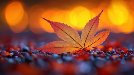 Autumn's Embrace: A Single Maple Leaf at Sunset