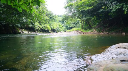 Peaceful River in Lush Forest