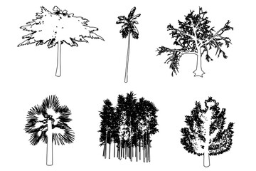 Fototapeta premium Set or collection of trees as a black line drawing silhouette on white background. Concept or conceptual vector for nature, planet, ecology conservation, strength, endurance and beauty