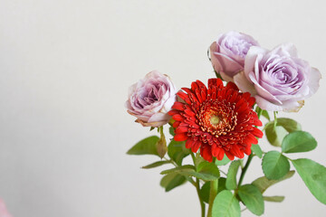 薔薇とガーベラ