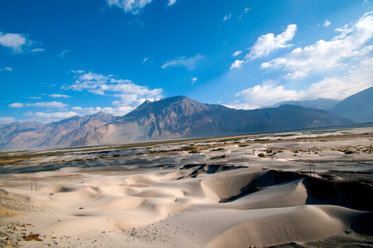 Sand dunes in Nubra valley in Himalayas. Hunder, Nubra valley, Ladakh