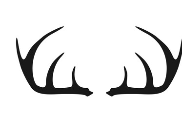 Geweih, Hirsch, Reh, Outdoor - Vektor