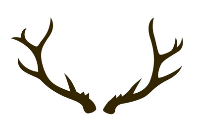 Geweih, Hirsch, Reh, Outdoor - Vektor © This is Art