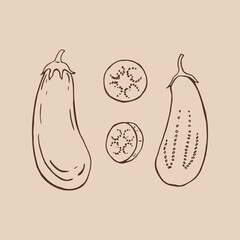 Set of eggplant. Hand drawn vector illustration.