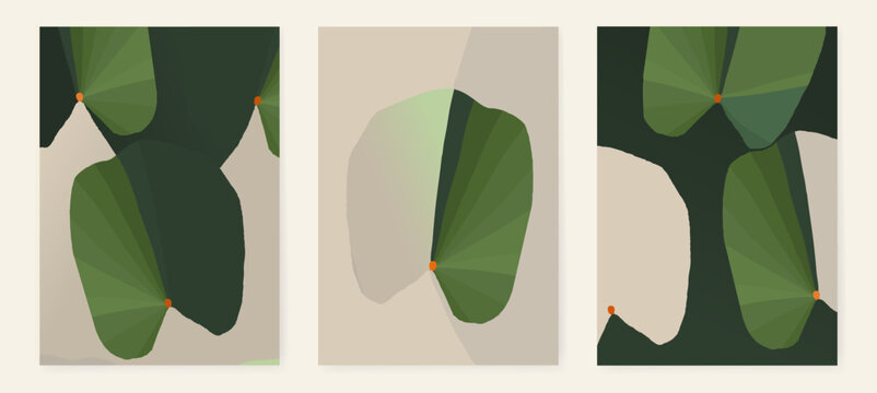 Elegant abstract botanical posters. Minimalist aesthetic. 
