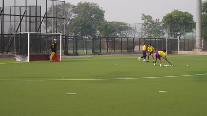 Young female field hockey players playing on field, taking a shot and scoring goal - Powered by Adobe
