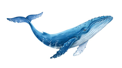Obraz premium blue whale cartoon illustration swimming in the ocean with marine life and aquatic animals