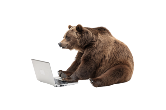 The bear shifts slightly, engrossed in the laptop screen, creating a playful juxtaposition of wild nature and modern technology. A curious and quirky pose, isolated on a transparent background