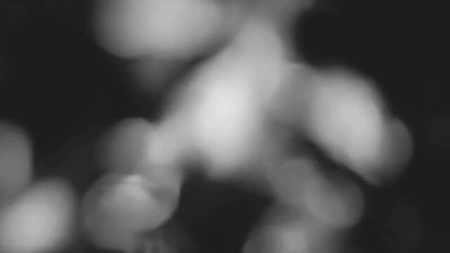 black and white blurry background
