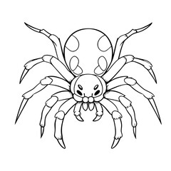 Spider
