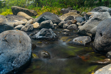 Rapid streams running down between mountain rocks