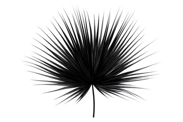 Naklejka premium Elegant Black Palm Leaf Design