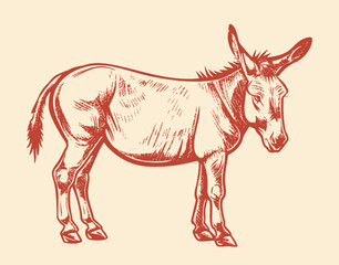 Donkey animal sketch hand drawn sketch
