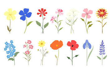 PNG Flower in flat graphic illustration style element set on transparent background
