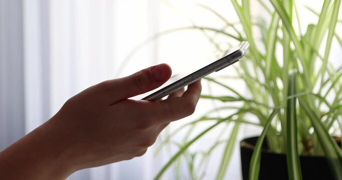 woman's hands scroll mobile phone keypad to check messages at home in evening
